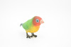 Lovebird, Pocket Parrots, Museum Quality, Rubber Bird, Hand Painted, Realistic Toy Figure, Diorama Model, Kids, Educational, 5 Inches. 