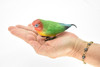 Lovebird, Pocket Parrots, Museum Quality, Rubber Bird, Hand Painted, Realistic Toy Figure, Diorama Model, Kids, Educational, 5 Inches. 