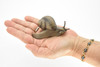 Snail Toy, Shelled Gastropod, Very Realistic Rubber Figure, Model, Educational, Animal, Hand Painted Figurines, 3.5" CH088 BB83