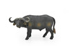 Cape Buffalo Toy, African Bovine, Museum Quality Rubber Figure, Model, Educational, Animal, Hand Painted, Figurines       5"     CH096 BB86