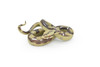 Python Snake Toy, Reptile, Museum Quality Rubber Figure, Model, Educational, Animal, Hand Painted, Figurines       5"     CH100 BB87