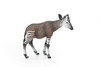 Okapi, Forest Giraffe, Museum Quality, Hand Painted, Educational, Rubber Animal, Realistic Toy Figure, Diorama Model, Kids,  4 1/2 Inches. 