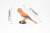 Parrot, Rose, Bird, Very Realistic Rubber Reproduction, Hand Painted Figurines     5.5"    CH138 B244