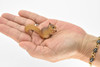 Squirrel, Tree, Ground, Very Realistic Rubber Reproduction, Hand Painted Figurines     2.5"      CH139 B244