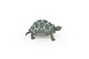 Tortoise, Testudinidae, Reptiles, Realistic Rubber Reproduction, Hand Painted Figurines       2.5"      CH145 B246