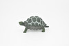 Tortoise, Testudinidae, Reptiles, Realistic Rubber Reproduction, Hand Painted Figurines       2.5"      CH145 B246