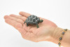 Tortoise, Testudinidae, Reptiles, Realistic Rubber Reproduction, Hand Painted Figurines       2.5"      CH145 B246