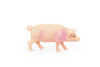 Pig, Swine, Domestic, Hog, Very Realistic Rubber Reproduction, Hand Painted Figurines     3.5"      CH147 B246