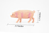 Pig, Swine, Domestic, Hog, Very Realistic Rubber Reproduction, Hand Painted Figurines     3.5"      CH147 B246