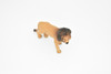 Lion, African, Male, Museum Quality Rubber Reproduction, Hand Painted Figurines      4"       CH148 B246