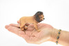 Lion, African, Male, Museum Quality Rubber Reproduction, Hand Painted Figurines      4"       CH148 B246