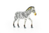 Zebra, Plains, Realistic Rubber Reproduction, Hand Painted Figurines    4"     CH151 B247 