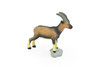 Goat, Billy, Wild, Realistic Rubber Reproduction, Hand Painted Figurines    3"     CH152 B247 