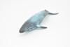 Blue Whale, Marine Mammal, Realistic Rubber Reproduction, Hand Painted Figurines    7"     CH155 B248