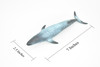 Blue Whale, Marine Mammal, Realistic Rubber Reproduction, Hand Painted Figurines    7"     CH155 B248