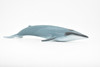 Blue Whale, Marine Mammal, Realistic Rubber Reproduction, Hand Painted Figurines    7"     CH156 B249