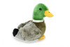 Mallard Duck, Male, Drake, Realistic, Lifelike, Stuffed, Bird, Soft, Toy, Educational, Animal, Kids, Gift, Very Nice Plush Bird     10" 