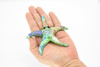 Starfish, Asteroidea, Green,  Hand Made, Thailand Sand Creatures, Toy, Paper Weight, Bean Bag, Cornhole, Game,     3 1/2"   TH24 BB67