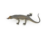 Komodo Dragon, Lizard, Reptile, Very Realistic Rubber Reproduction, Hand Painted Figurines,    8"    RI13 B259