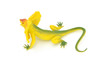 Lizard, Frilled Lizard, Frill-necked, Reptile, Very Realistic Rubber Reproduction, Hand Painted Figurines,    7"    RI14 B259