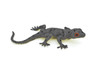 Gecko, Spotted, Leopard, Reptile, Very Realistic Rubber Reproduction, Hand Painted Figurines,    7"    RI15 B259