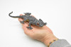 Gecko, Spotted, Leopard, Reptile, Very Realistic Rubber Reproduction, Hand Painted Figurines,    7"    RI15 B259