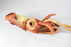 Squid, Giant Squid, Very Nice Plush, Saltwater, Stuffed Ocean Animal, Educational, Realistic Figure, Lifelike Model, Replica, Gift,     24" x  6" x 6"      C06 BB106