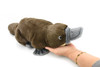 Platypus, Duck Billed, Sitting Realistic Cute Stuffed Animal Plush Toy, Kids Educational Gift  18"   WR05 B318