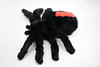 Spider, Redback , Australian Black widow, Stuffed Insect, Educational, Plush Realistic Figure, Lifelike Model, Replica, Gift,     13"     F058 BB4