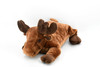 Moose, Converts into a Pillow, Very Nice Plush, Stuffed Animal, Educational, Toy, Kids, Realistic Figure, Lifelike Model, Replica, Gift,    12"    F4323 B300