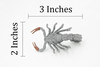 Scorpion, Gray, Fat-tailed, Very Nice Rubber Arachnid, Educational, Hand Painted, Realistic,  Replica, Toys, Kids, Gift,     3 Inches. 