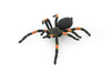 Spider, Tarantula, Mexican Red-kneed, Museum Quality Rubber Insect, Educational, Realistic Hand Painted Figure, Lifelike Model,        8"         F3635 B210