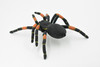 Spider, Tarantula, Mexican Red-kneed, Museum Quality Rubber Insect, Educational, Realistic Hand Painted Figure, Lifelike Model,        8"         F3635 B210