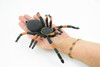 Spider, Tarantula, Mexican Red-kneed, Museum Quality Rubber Insect, Educational, Realistic Hand Painted Figure, Lifelike Model,        8"         F3635 B210