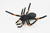 Spider, Tarantula, Mexican Red-kneed, Museum Quality Rubber Insect, Educational, Realistic Hand Painted Figure, Lifelike Model,        8"         F3635 B210