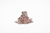 Western Spotted Frog, Hard Rubber, Amphibian, Realistic Figure, Model, Replica, Toy, Kids, Educational, Gift,     2 1/2"     F4407 B9