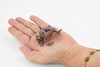 Western Spotted Frog, Hard Rubber, Amphibian, Realistic Figure, Model, Replica, Toy, Kids, Educational, Gift,     2 1/2" 