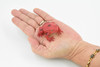 Tomato Frog, Hand Painted, Amphibian, Hard Rubber, Realistic Frog, Model, Replica, Toy, Kids, Educational, Gift,    2"  