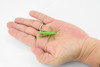 Grasshopper, Rubber Insect, High Quality, Hand Painted, Educational, Realistic Toy Figure, Diorama Model, Replica, Kids,  2  Inches. 