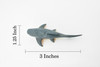 Dunkleosteus, Prehistoric Fish, Dinosaur, Very Nice Design, Rubber Fish, Hand Painted, Realistic Toy Figure, Diorama Model, Kids, Educational,  3 Inches.