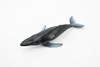 Humpback Whale, Endangered Marine Mammal, Hand Painted, Rubber, Educational Design, Figure, Diorama Model, Toy, Kids,  3 1/2 Inches. 