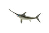 Swordfish, Broadbills, Billfish, Rubber Fish, Realistic Toy Figure, Model, Replica, Kids, Hand Painted, Educational, Gift,      3"     CH412 BB108