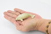 Beluga Whale, Rubber Animal, Realistic Toy Figure, Model, Replica, Kids, Hand Painted, Educational, Gift,      3"        CH415 BB108