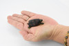 Turtle, Yellow Pond Turtle, Rubber Reptile, Hand Painted, Museum Quality, Educational, Realistic Toy Figure, Diorama Model, Kids,  2 1/2 Inches. 