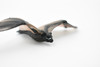 Bat, Chiroptera, Rubber Animal, Realistic Toy Figure, Model, Replica, Kids, Hand Painted, Educational, Gift,       4"      CH429 BB109