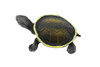 Turtle, Phrynops Hilarii, Argentine Side Necked Turtle, Reptile, Hand Painted, Realistic Toy Figure, Model, Replica, Kids, Educational, Gift,      2 1/2"     CH430 BB109