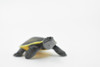 Argentine Side Necked Turtle, Rubber Reptile, Hand Painted, Museum Quality, Educational, Realistic Toy Figure, Diorama Model, Kids,  2 1/2 Inches. 
