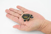 Turtle, Phrynops Hilarii, Argentine Side Necked Turtle, Reptile, Hand Painted, Realistic Toy Figure, Model, Replica, Kids, Educational, Gift,      2 1/2"     CH430 BB109