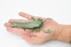 Eurypterida, Sea Scorpions, Extinct Arthropods, Hand Painted, Realistic Toy Figure, Model, Replica, Kids, Educational, Gift,       5 1/2"     CH431 BB109