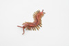 Centipede, Chilopoda, Rubber Insect, High Quality, Hand Painted, Educational, Realistic Toy Figure, Diorama Model, Replica, Kids,   2 1/2 Inches. 